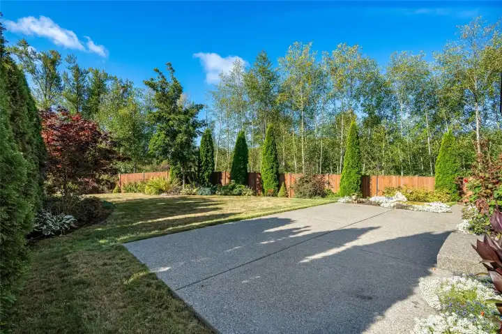 Backyard/Patio 2