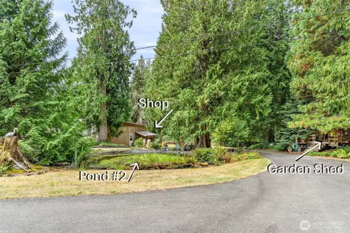 Part of the circular drive as you enter the property. The house and garage are off to the right (not shown) in this photo.