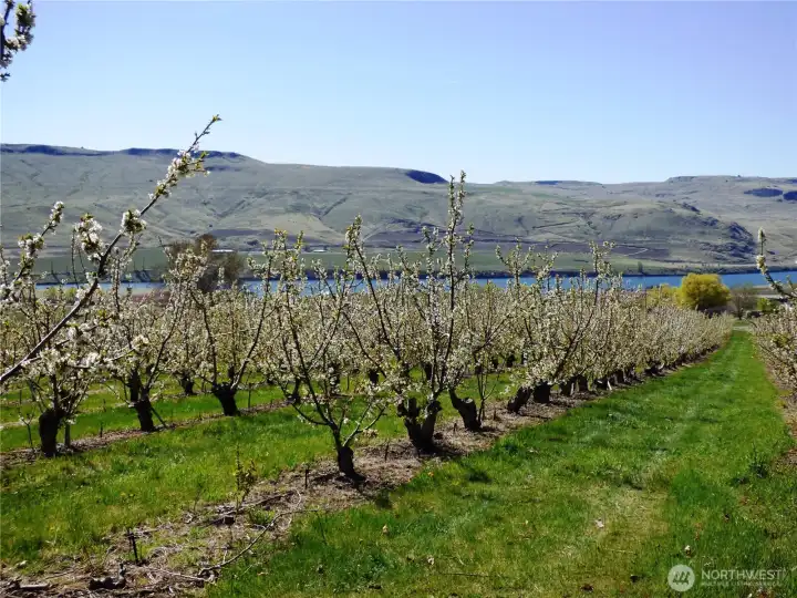 Views from Every Vantage Point