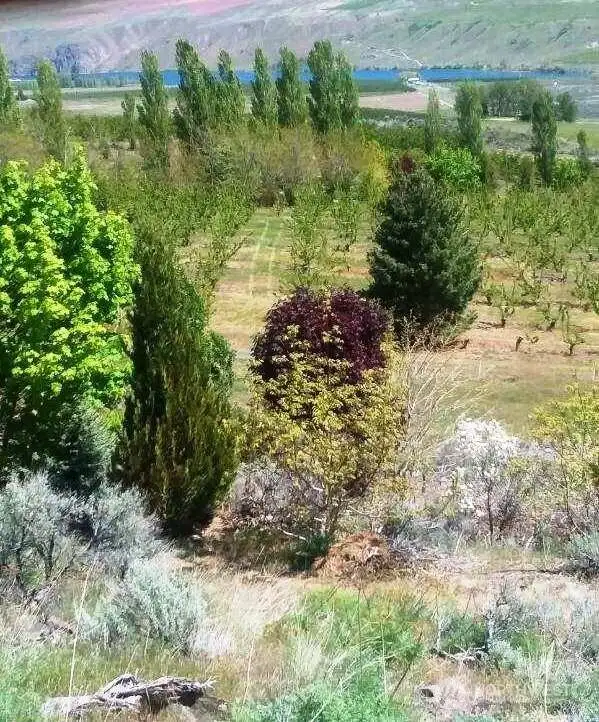 Wonderful Views From Every Direction