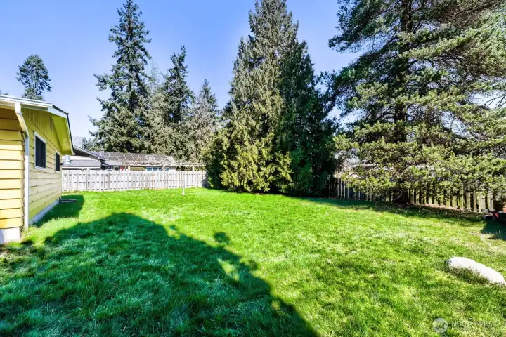 Look at this back yard! Hmmmm... so many plans for this...