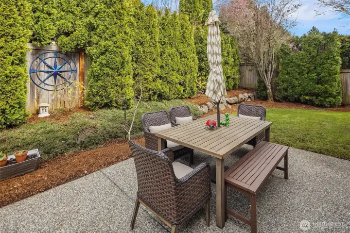 The back patio area / Fully fenced back yard space!