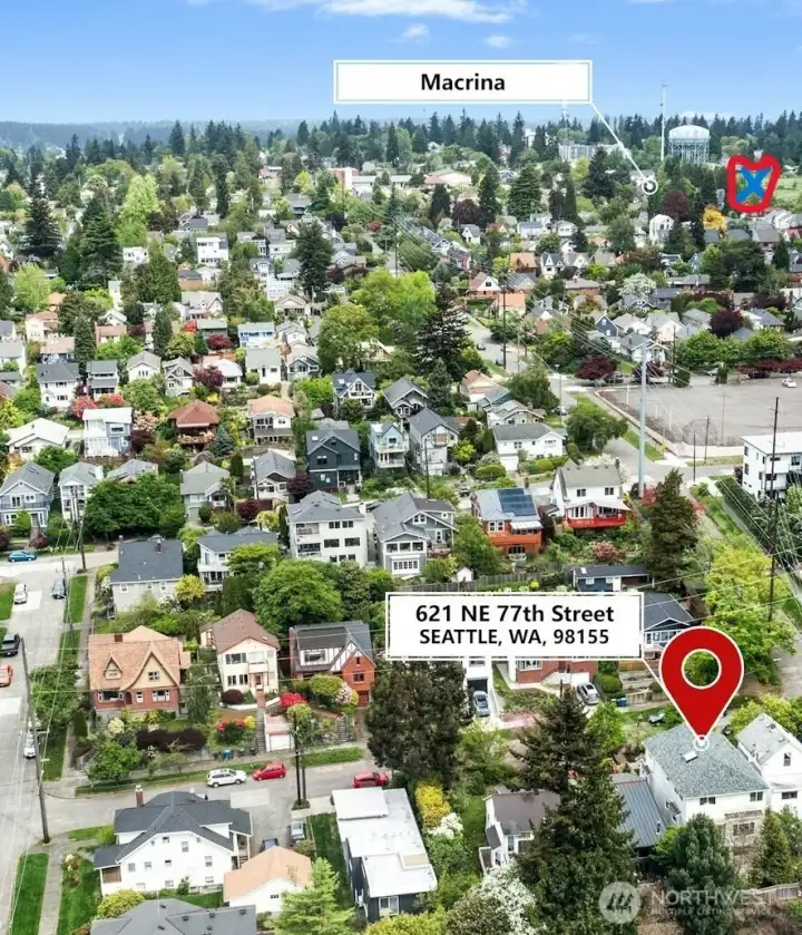 Some contend the Maple Leaf Marcina is the best. The red circle right of it is the large Maple Leaf Park. Snappy Dragon (Chinese food), Peruvian food, Mojito Carribean food, The Rez, and the popular Ace Hardware are just past the Macrina.