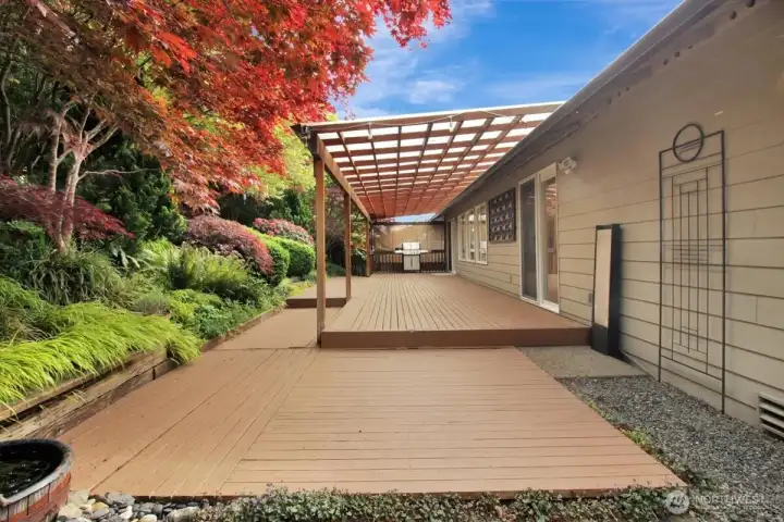 Layout of rear of home