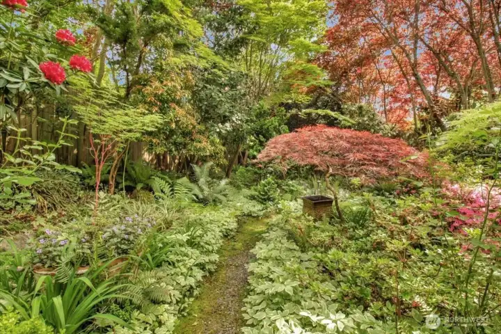 Count the blossoms, watch the colors change, see nature unfold before your eyes in your own backyard without having to drive the mountain highways