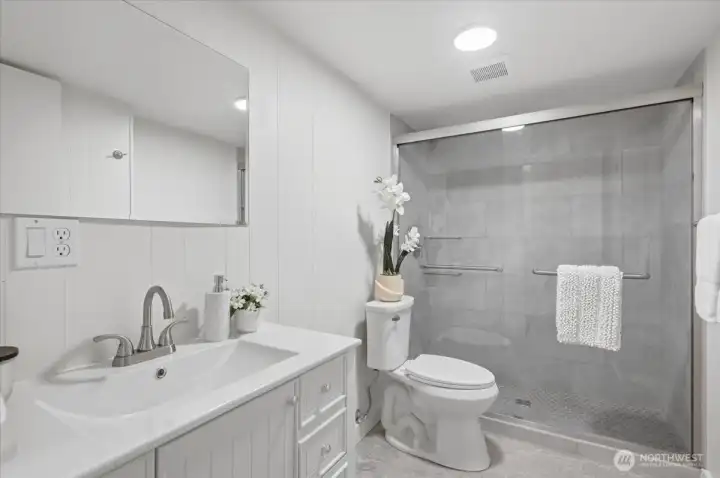Lower Level: Updated bathroom