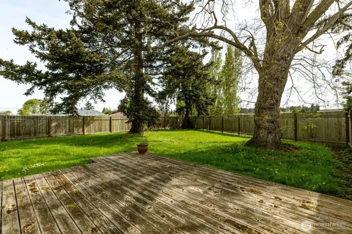 deck area in back yard