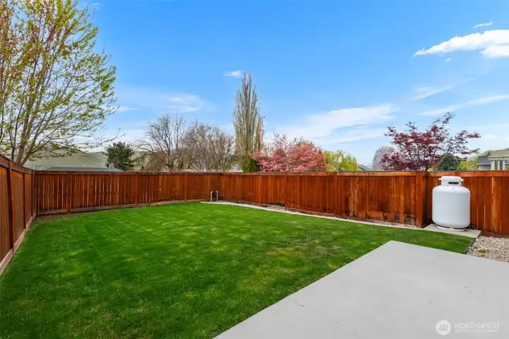 Large backyard patio.