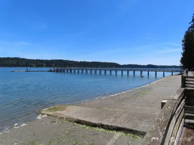 Potential waterview of the Illahee Dock after tree removal