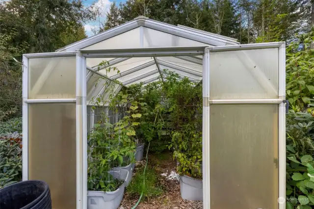 Green house just finishing this years veggies.