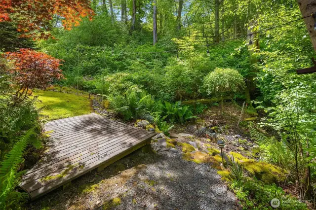access to the stream