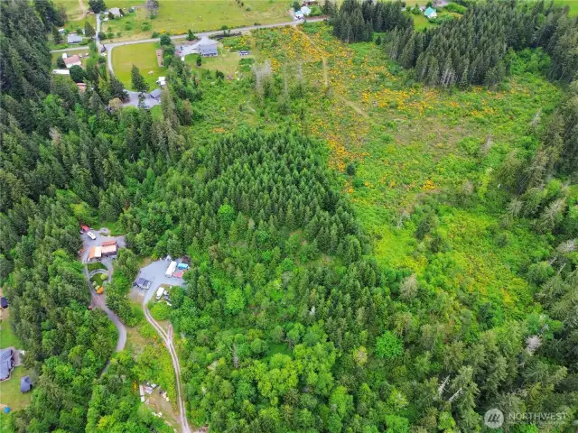 Aerial of north portion of lot