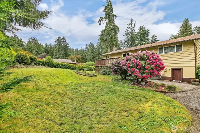 Fully fenced and landscaped backyard.