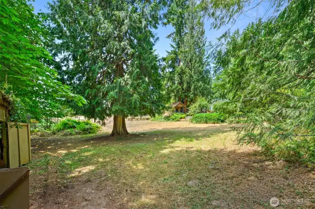 Large side yard/mostly cleared parcel adjacent to the west of the house