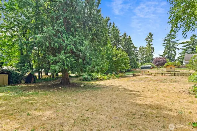 Large side yard/mostly cleared parcel adjacent to the west of the house