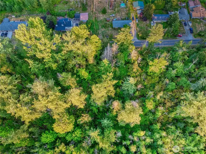 Aerial view from west border