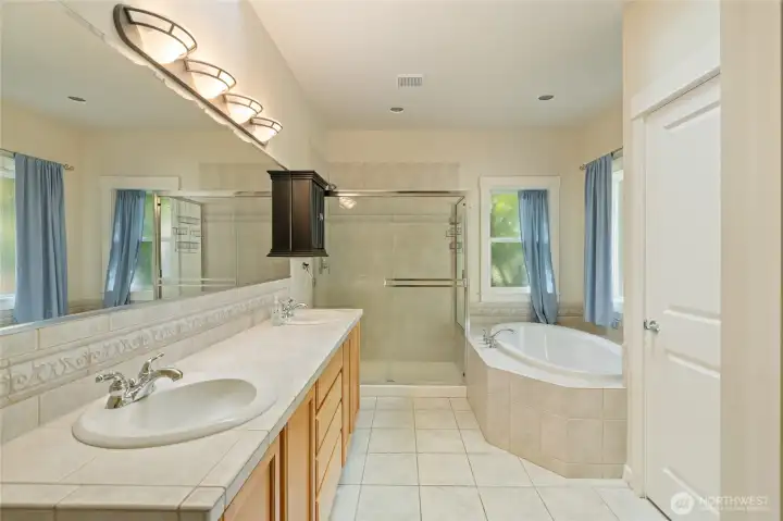 Primary suite features all the necessities, double sinks, soaking tub, large shower and private toilet space.