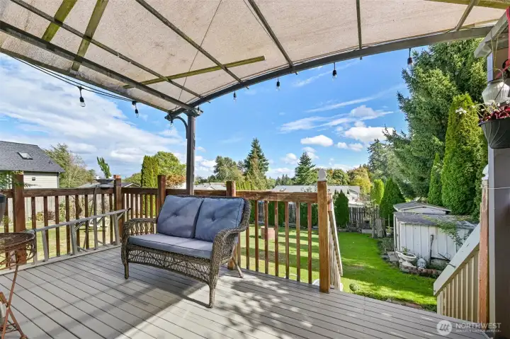 Expansive Yard