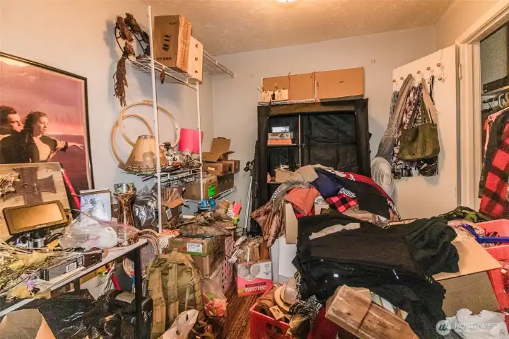Bonus Room in Basement
