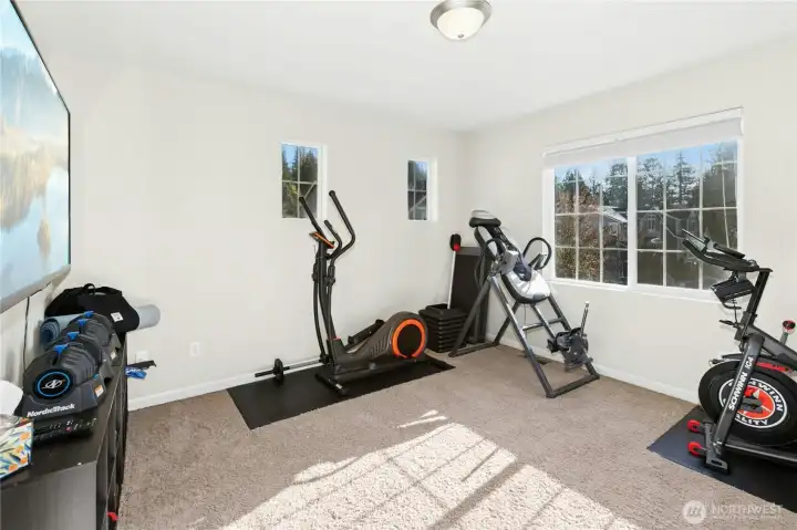 Bonus Room / Home Gym:  This versatile bonus room offers plenty of natural light and flexible space—perfect for a home gym, hobby room, or play area. Bright and open, it easily adapts to your lifestyle.