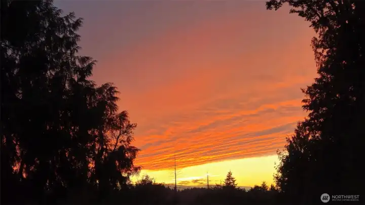 Beautiful evening view with vibrant sunset skies framed by evergreens — a perfect backdrop to unwind at the end of the day.
