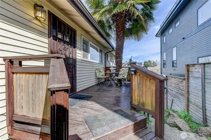 Lovely outside space off the Kitchen with Palm.