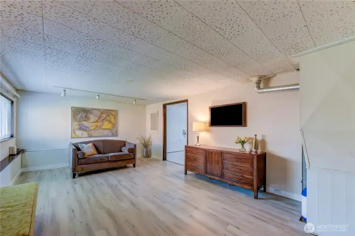 Lower level Family room.
