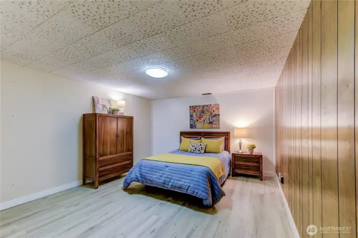 Lower level Non conforming bedroom.