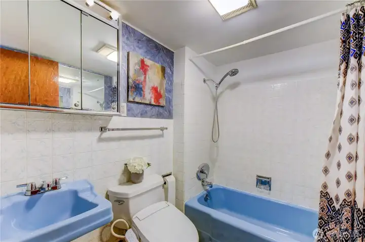 Lower level Bathroom.
