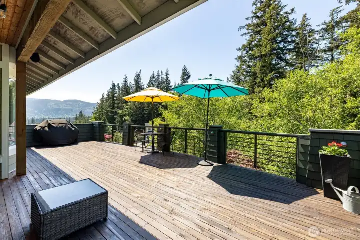 Expansive entertaining deck off the kitchen