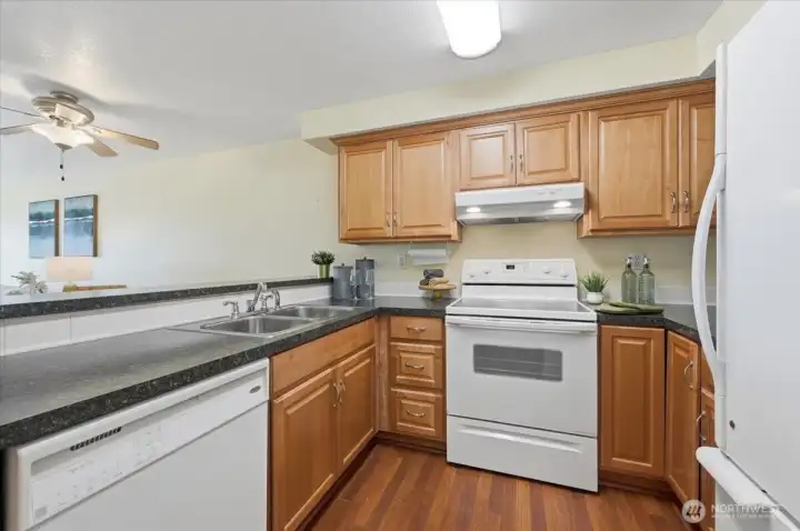 Updated flooring, counters & cabinets & white appliances!  Plenty of room to even have a guest cooking with you!