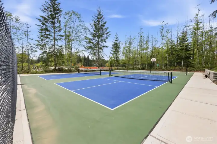 Pickleball Courts