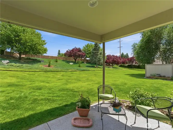 View from patio