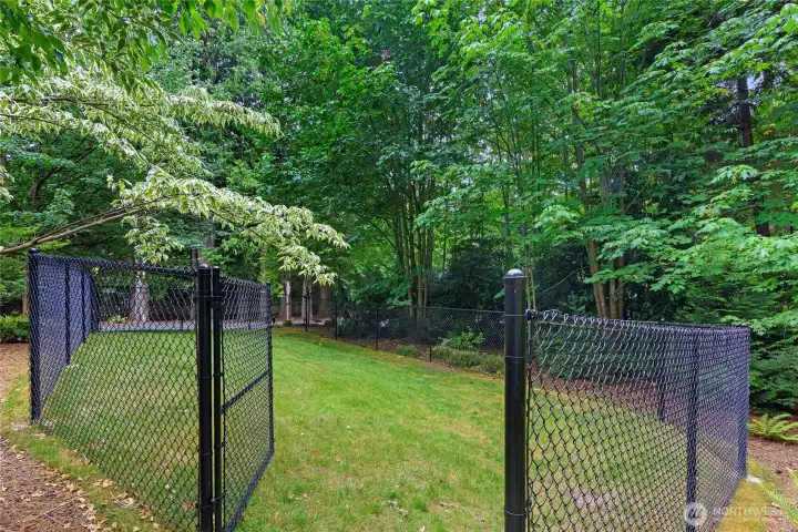 A fenced area in the back/side yard