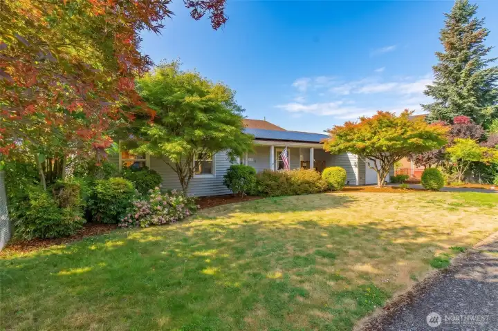 Front Yard