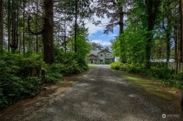 Private Driveway lined with large evergreen trees allowing the home to sit privately back off the road.