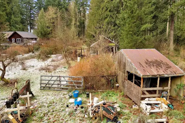 Small animal shelter with greenhouse/hobby shop behind it. There are useful materials waiting to be reclaimed by the next gardener.