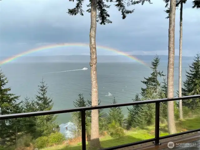 Rainbows and whales! Welcome to paradise.