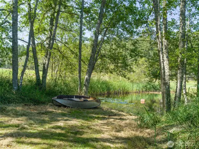 Another view of the pond.