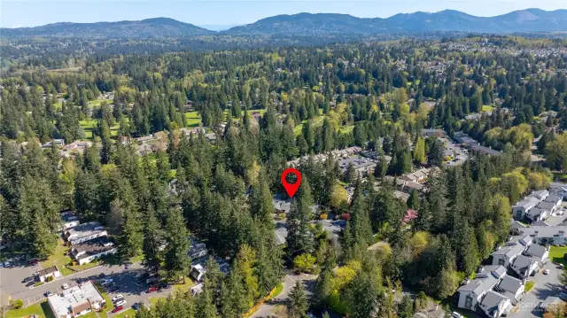 Aerial view showing lush trees surrounding community.