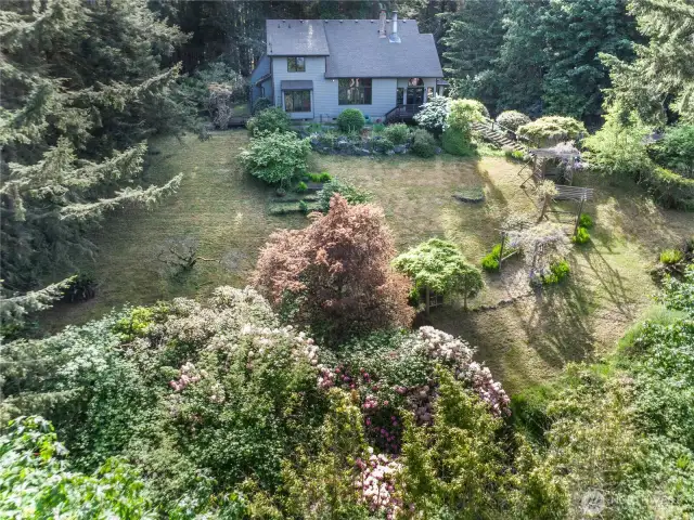 A bird's eye view over the 30' tall rhododendrons at the bottom of the photo. The former owner was a Master gardener and there are so many delightful plants to discover on this property.