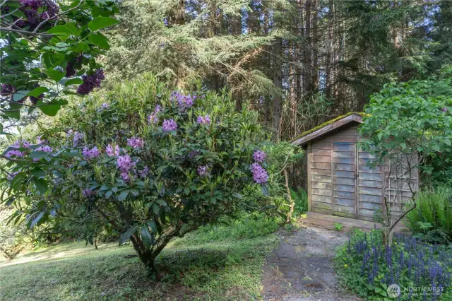 Beautiful Lilacs, rhododendrons and many other mature plants and flowers abound on this property.