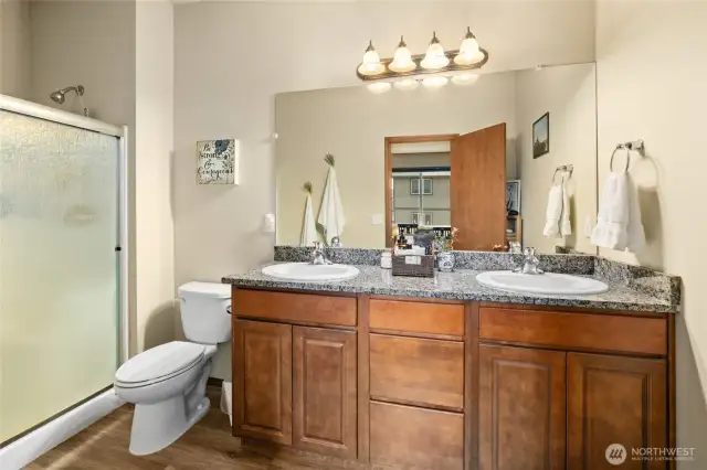 Dual sinks in the primary