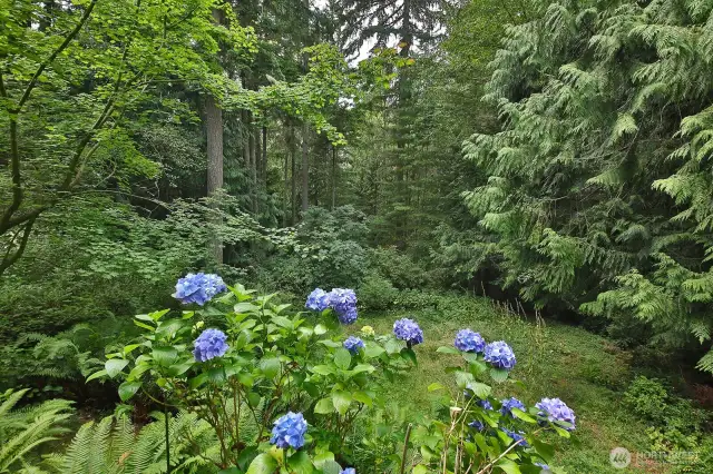 surrounded by nature