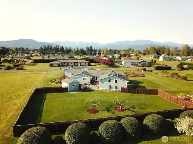 Real Aerial