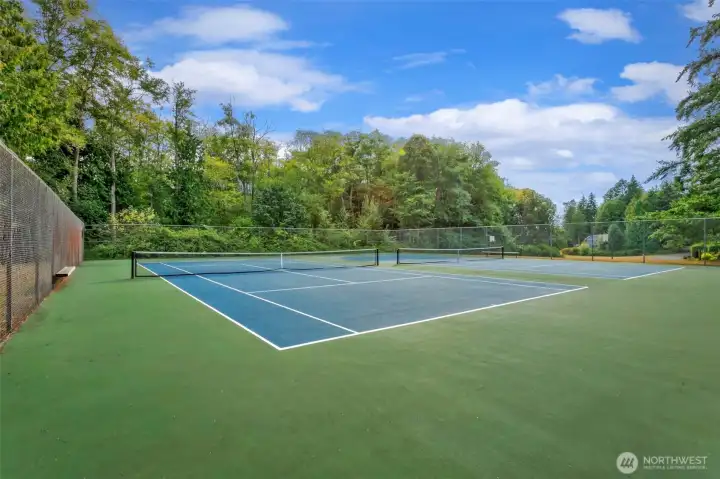 Shore Woods community tennis courts.