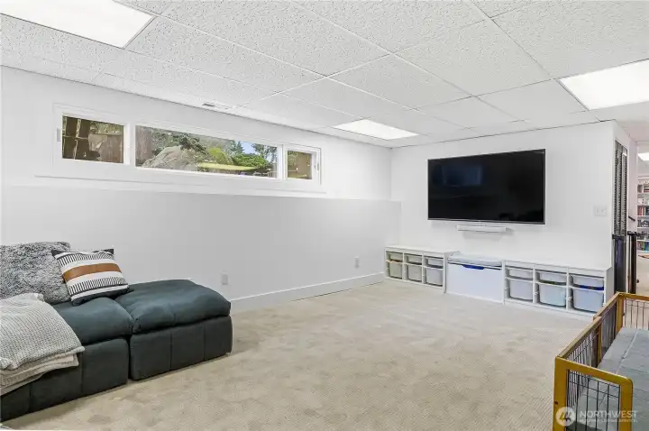 Lower Living Room with Wood Fireplace