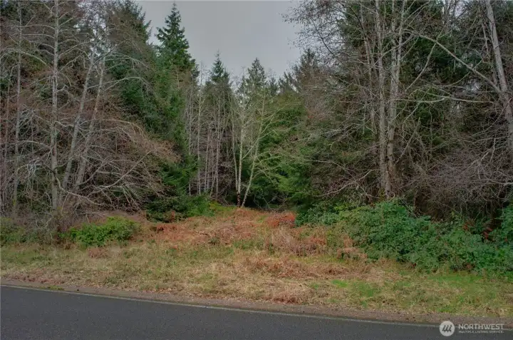 Soft coastal light and forested surroundings create a peaceful outlook onsite, just moments from the shores and open beauty of Willapa Bay.