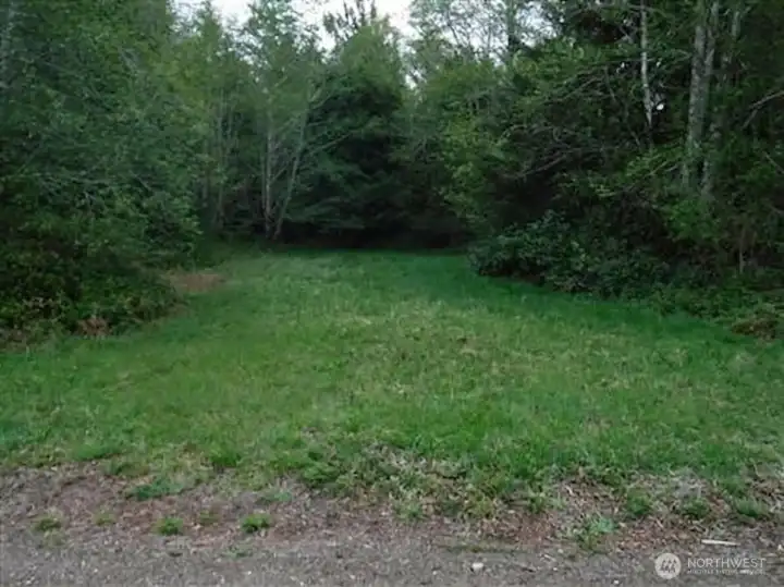 A private, tree-lined clearing offering a quiet, park-like setting ready for your vision.