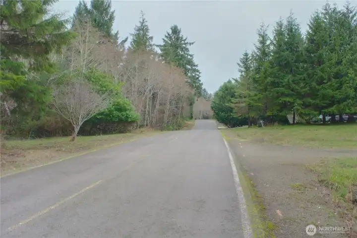 A quiet, tree-lined road frames this peaceful vacant land at 56 Ranta Road, offering a natural setting with easy access.